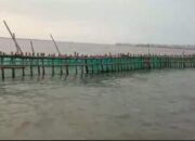 Setelah Viral, Prabowo Perintahkan Cabut dan Usut Pemagaran Laut di Tanggerang